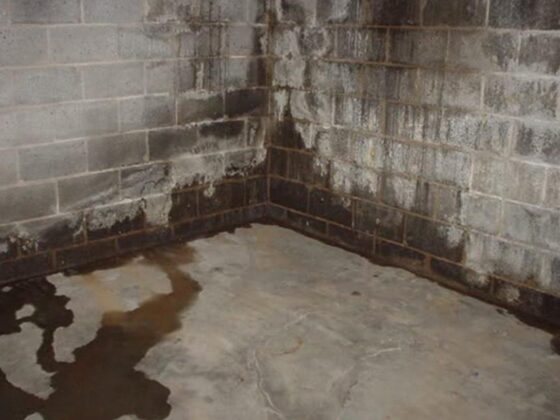 Leaky Basement on Your Home